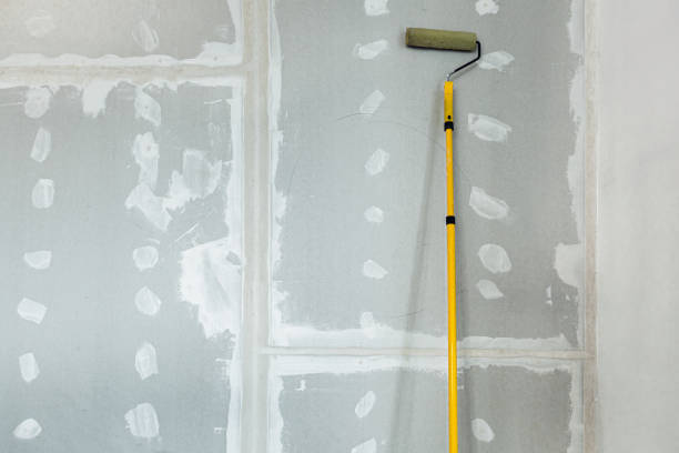 Best Black Mold Removal  in Hillcrest, CA